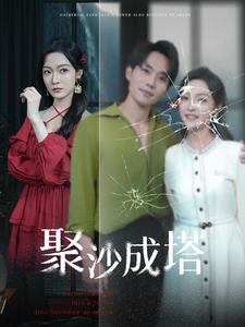 《聚沙成塔》（30集）-全集完整版